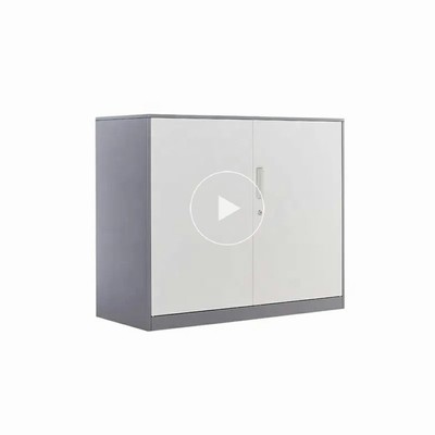 China Factory Wholesale Custom High Quality Office Furniture Steel Storage Cabinet Uni-sl-71