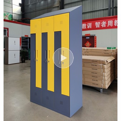 China Factory Wholesale Custom High Quality Steel Storage Cabinet Uni-sl-50
