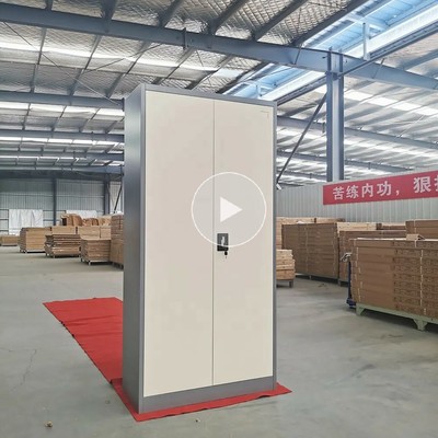 China Factory Wholesale Custom High Quality Office Furniture Steel Storage Cabinet Uni-sl-81